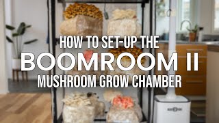 Quick Start Guide  How to Set Up Your BoomRoom II [upl. by Clare]