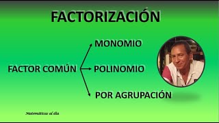 FACTOR COMÚN MONOMIO POLINOMIO POR AGRUPACIÓN DE TÉRMINOS [upl. by Lajes]