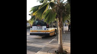 Thebus Honolulu Bus 209 Nova Bus LFS Route 444 Hoaeae West Loch Skyline Station [upl. by Tattan]