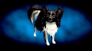 Torchlight II Papillon Pet Reveal [upl. by Sidonie]