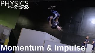 What Are Momentum and Impulse  Physics in Motion [upl. by Eiggep729]