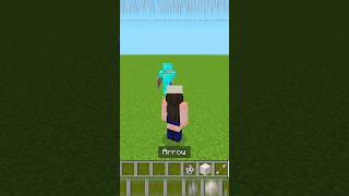 Skeleton armour  shorts minecraft [upl. by Rosalie486]