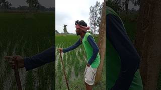 বন্যায় জমি ডুবে গেছে shorts comedy viralvideo shortsfeed [upl. by Anij460]