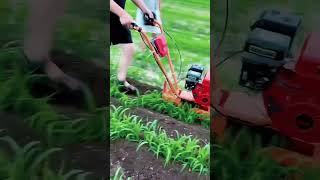 Tillering machine  Farm machinery shortsvideo trendingshorts farmequipment Agriculturetools [upl. by Jemina950]