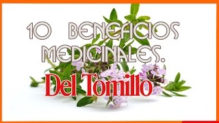 10 Beneficios Medicinales Del Tomillo [upl. by Aserret]