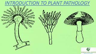 Introduction to plant pathologyscope of plant pathologyimportance in Agriculture [upl. by Llehcim]