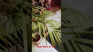 Ram RamD R C [upl. by Werdnael]