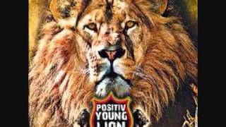 Positiv Young Lion  Timoune [upl. by Iznil]