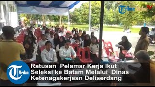 Ratusan Pelamar Kerja Ikut Seleksi ke Batam Melalui Dinas Ketenagakerjaan Deliserdang [upl. by Ahsika]