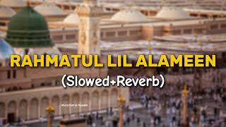 Rahmatul Lil Alameen  Slowed And Reverb  Muharramal Hussain [upl. by Bobbe]