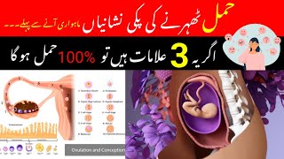 Top 3 Early Pregnancy Symptoms  Hamalki Alamat In UrduHindi  Implantation Symptoms by pregno [upl. by Annwahs327]