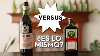 Jägermeister Vs Fernet Branca  ¿Es la misma bebida [upl. by Nonnairb]