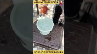 archimedes principle  science experiments experiment science shorts [upl. by Annaili]