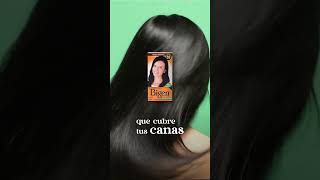 Consigue un color duradero sin canas con los tintes de Bigen Polvo 🧡 [upl. by Gweneth]