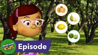 Where Do Fruits and Vegetables Come From S4 E2 [upl. by Horatio]