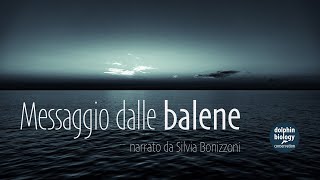 Messaggio dalle balene [upl. by Celeste]