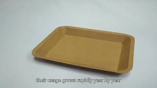 bagasse packagingbagasse platebagasse container China Manufacturer Best [upl. by Elleb]