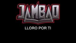 Jambao  lloro por ti letra [upl. by Giselbert939]