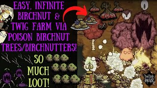 INSANE Infinite Birchnut Farm Via Poison Birchnut TreesBirchnutters  Dont Starve Together Guide [upl. by Reine]