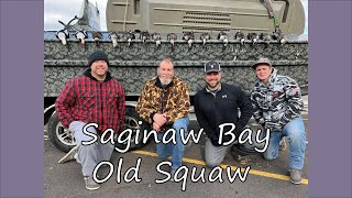 Saginaw Bay Old Squaw [upl. by Avir]