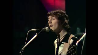 Horslips  Trouble With A Capital T  Live At Cork Opera House 1979 Remixed amp Remastered HD [upl. by Alehcim]