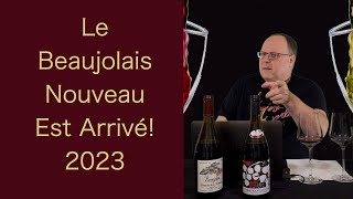 Reviewing  Le Beaujolais Nouveau Est Arrivé 2023  Episode 140 [upl. by Wixted400]