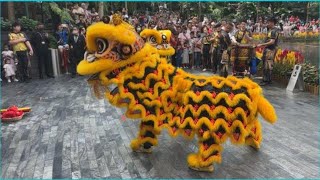 Chinese New Year 2024  Lion Dance Performance CNY at Changi Jewel Singapore [upl. by Vange709]