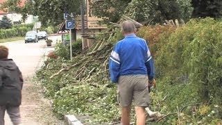 La tempête a dévasté la ville de Dambach en Alsace [upl. by Bartko]