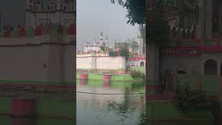 Dargah sharif kichhouchha new video 🤲viralvideo newvideo darghasharif youtubeshorts youtub [upl. by Boak884]