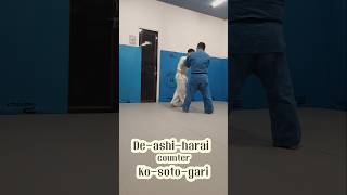 Best judo ippon  deashiharai  Kosotogari  judo fight game judo bjj mma viral trending [upl. by Drarreg]