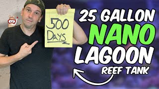 25 Gallon Nano Reef Tank 500 Day Update  The Llama’s Lagoon [upl. by Haleemaj784]