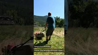 Mowing 3 foot tall grass with a push mower [upl. by Abshier789]