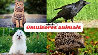 Omnivores Animals  Animals Names for Kids  Educational video [upl. by Nnaeirb268]