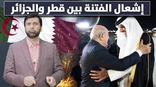 قطر والجزائر تم الدعس على الكلاب بنجاح دعبدالعزيز الخزرج الأنصاري [upl. by Suhail]