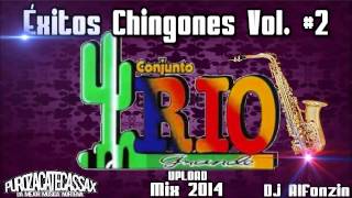 Mix Conjunto Rio Grande 2015  Pura Chingona Vol 2  DjAlfonzin [upl. by Eitac]