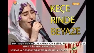 Gülistan amp Haşim Tokdemir  Hareketli Türküler Kürtçe CANLI [upl. by Haleigh485]