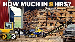 I Rented a Firewood Processor For 8 Hours 2022  Homeowner Review of Dyna SC16 [upl. by Swetlana473]