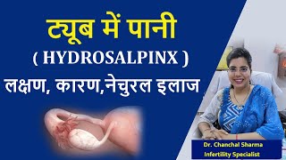 ट्यूब में पानी  HYDROSALPINX  के कारण लक्षण निदान एवं उपचार  Dr Chanchal Sharma [upl. by Enohsal]