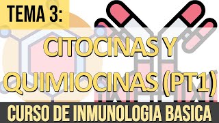 Citocinas y Quimiocinas Funciones Receptores y Vías de Transducción de Señales [upl. by Ssepmet227]