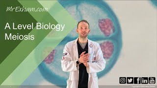 Meiosis and chromosome mutation  A Level Biology [upl. by Phillip416]