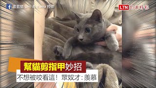 妙招！幫貓剪指甲不想被咬怎麼辦？ 奴才教學用「這個」 [upl. by Eirek]