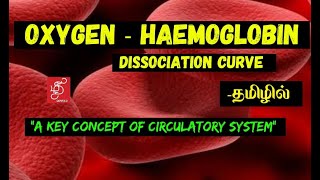 OXYGEN HAEMOGLOBIN DISSOCIATION CURVE  HAEMOGLOBIN SATURATION CURVE  IN TAMIL [upl. by Pritchard]