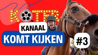 WERKEN BIJ DE MANEGE  Het KoterKanaal Komt Kijken 3 [upl. by Denver]