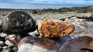 Rockhounding Youngs Cove Nova Scotias Bay of Fundy [upl. by Dachia740]