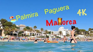 🏖️Palmira Paguera Mallorca 2023 June 📷4K60 [upl. by Wj]