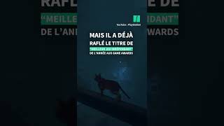 Le jeu vidéo quotStrayquot favori des César du jeu vidéo plait aussi beaucoup aux chats [upl. by Singband]