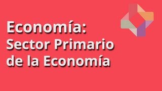 Sector Primario de la Economía [upl. by Nnahgem]