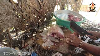 FISH CUTTING  PARROT FISH  KIZHI MEEN  Todayrecipe [upl. by Adnamaa]