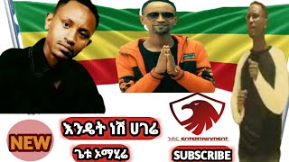 ETHIOPIA AMHARIC LYRICS  Getu Omahire  Endet Nesh Hagere  Full Amharic Music Video Lyrics [upl. by Immac903]