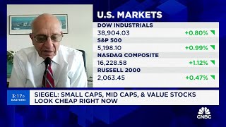 Smallcap midcap and value stocks look discounted even without rate cuts says Whartons Siegel [upl. by Leilani]